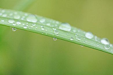 《噗噗的冒险乐园》登陆steam 经营冒险新游